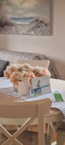 Q HOME San TEODORO img1