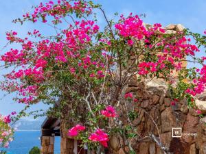 BeLocations - Villa MARENGO img41