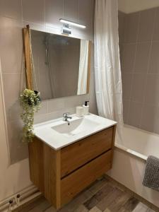 Joli appartement vue tour Eiffel de loin