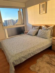 Joli appartement vue tour Eiffel de loin