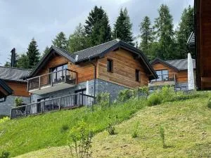 Tomtegl-Bergchalet-No-12-mit-Privatsauna-Infinitypool-Kamin-Fitnessraum-1500m-Seehoehe - 霍赫林德