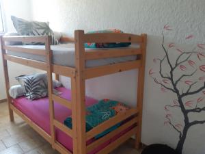 Appartements Gite Canoe Piscine chauffee et Spa en Ardeche Meridionale : photos des chambres