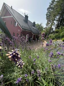 Apartamenty Lavender Hill