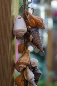 Casada's House img36