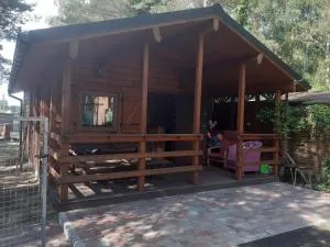 Domek letniskowy - Świętne z bezpośrednim dostępem do Jeziora Wilczyńskiego - Anastazewo