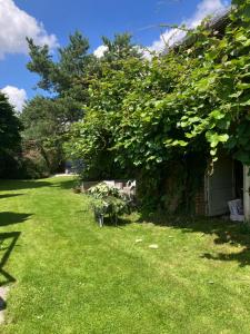 B&B / Chambres d'hotes La Canopee : photos des chambres