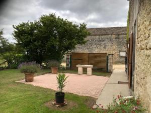 Pêches de Vignes