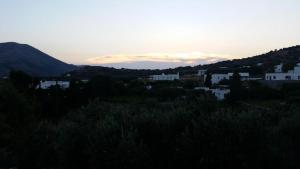 Alekos Studios Artemonas