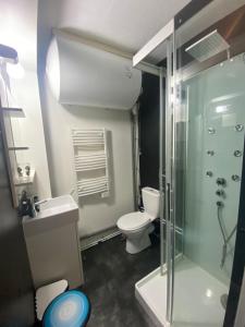 Appartements Appartement Le SKICOSY a Guzet Neige : photos des chambres