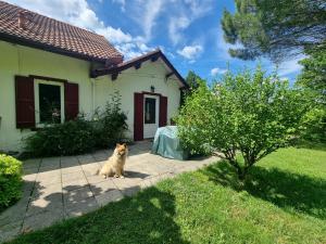 Maison vacances les fougères - Ubytování bez kategorie ve městě Sainte-Eulalie-en-Born