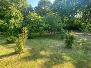 Maisons de vacances Au dessus des pres : photos des chambres