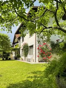 Apartma Savan - Žabče