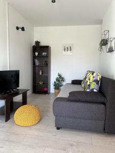 Studio apartment in Trpanj with terrace, air conditioning, WiFi, washing machine 4199-5