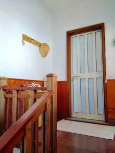 Una Araucaria sul mare