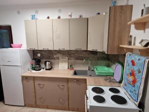 Apartment in Icici with sea view, terrace, Wi-Fi (4870-3) 
