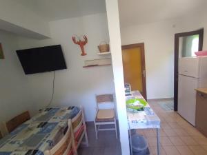 Apartment in Icici with sea view, terrace, Wi-Fi (4870-3) 