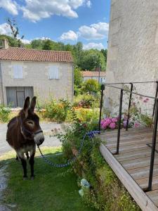Maisons de vacances Gite des Bujours : photos des chambres