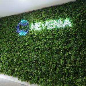 Resort Hevenia Apartament Nr 8