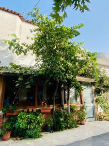 Small apartment in Durres