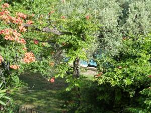 Gite du domaine Saint-Marc, entre Ventoux et dentelles de Montmirail