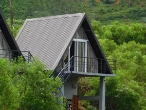 Twin Green - Lindula