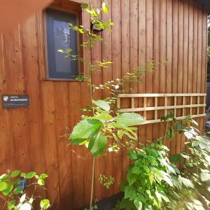 Natuurhuisje Govinda