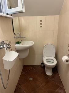 Apartment Lazur Karlovo 8 street free parking