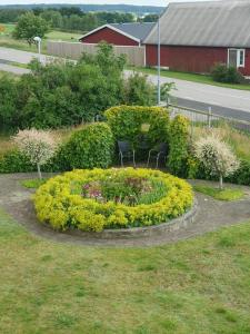 Gamla macken Utsikten