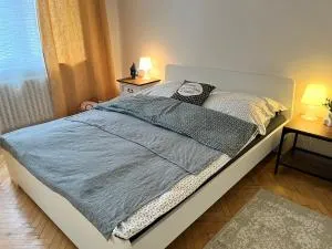 Old Town Lovely Apartment - Nivy