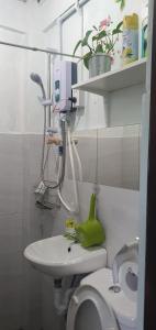 Divine Nature Cuyambay Tanay