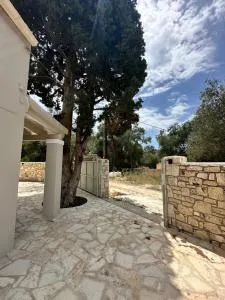 Scandal House by All About Paxos - Mougkelátika