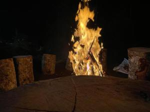 Kolukkumalai camp bookings