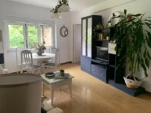 La ballena de rayas - Liñero