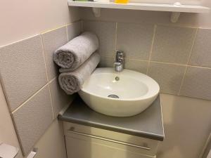 Appartements Sympathique logement en rez-de-chausse, de 21m 2 : photos des chambres