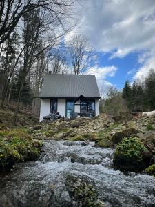 Domek na wyspie