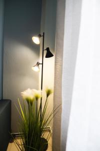 Sapphire Majesty by Heavens Hall