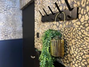 Appartements La folie sauvage - Balneo & haut de gamme : photos des chambres