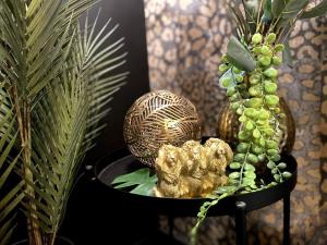 Appartements La folie sauvage - Balneo & haut de gamme : photos des chambres