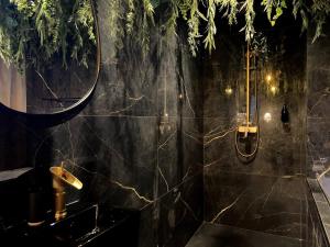 Appartements La folie sauvage - Balneo & haut de gamme : photos des chambres