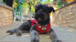 Casa de Praia Maresias