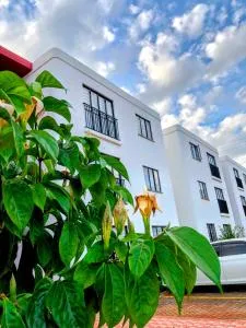 The House Beautiful, Tatu City - Mutomo