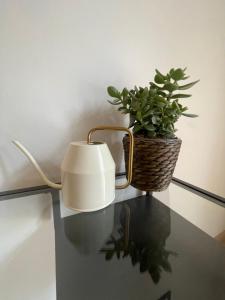 Politecnico, Porta Susa Design