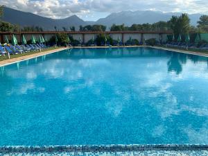 7 apartments in Alexander complex