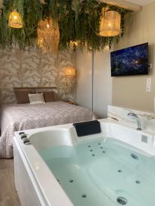 Appartements Le cocon du desir - Balneo et haut de gamme : photos des chambres