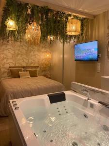 Appartements Le cocon du desir - Balneo et haut de gamme : photos des chambres