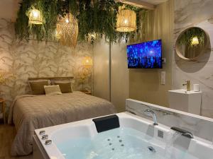 Appartements Le cocon du desir - Balneo et haut de gamme : photos des chambres