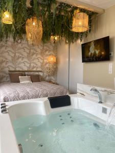 Appartements Le cocon du desir - Balneo et haut de gamme : photos des chambres