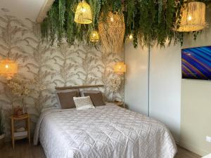 Appartements Le cocon du desir - Balneo et haut de gamme : Appartement 1 Chambre