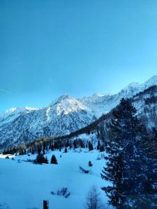 Monolocale nel cuore delle Alpi