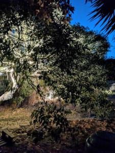 Villas Maison de campagne : photos des chambres